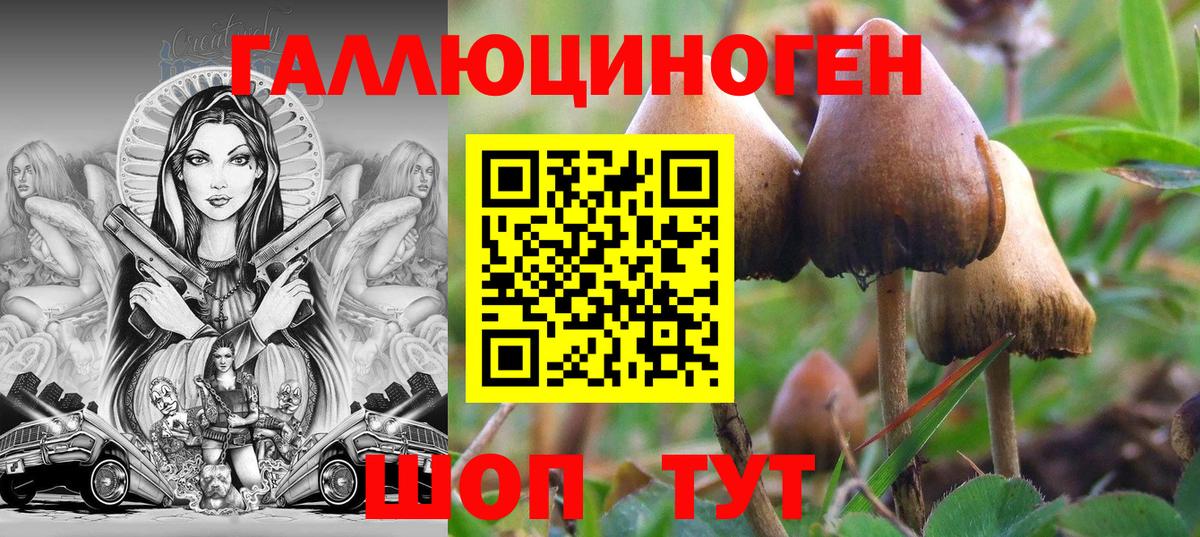 Псилоцибиновые грибы прущие грибы Ковров