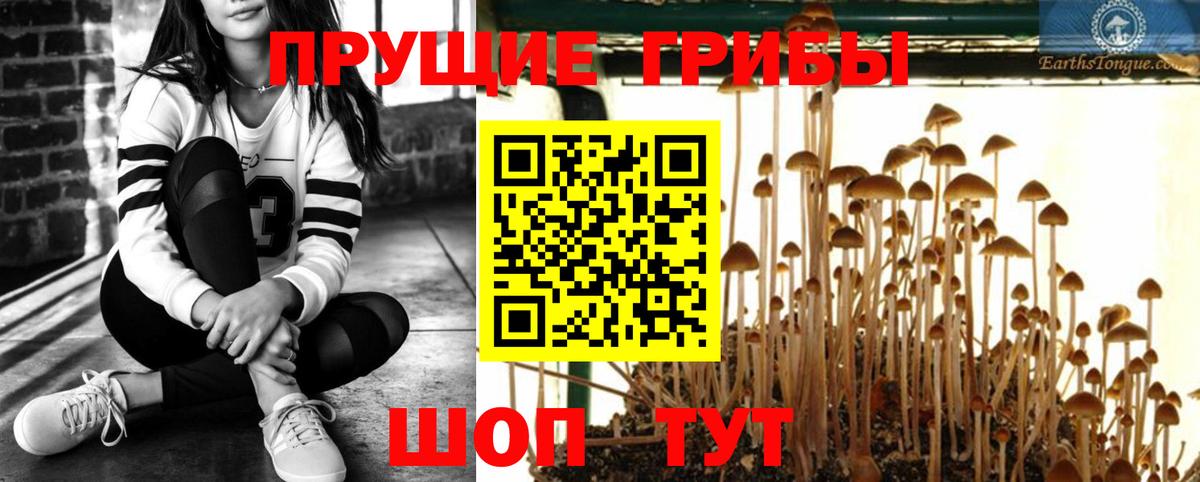 Метадон Ковров
