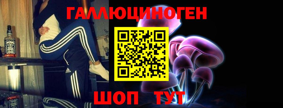 Псилоцибиновые грибы Psilocybe  Вход с VPN  Ковров 